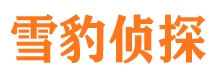 环江市侦探调查公司